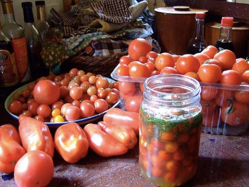 tomatoes-480x360.jpg