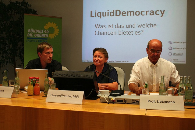 Liquid Democracy.jpg