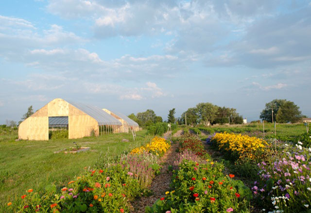 The agrihood features paths for cycling and cross-country skiing, community gardens, and a 4-acre organic farm