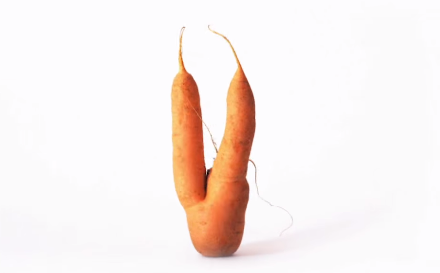 UglyCarrot.png