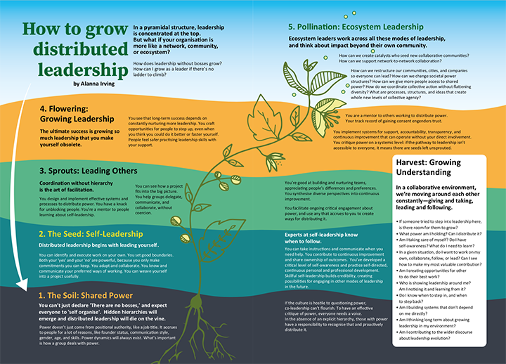 How to grow distributed leadership
