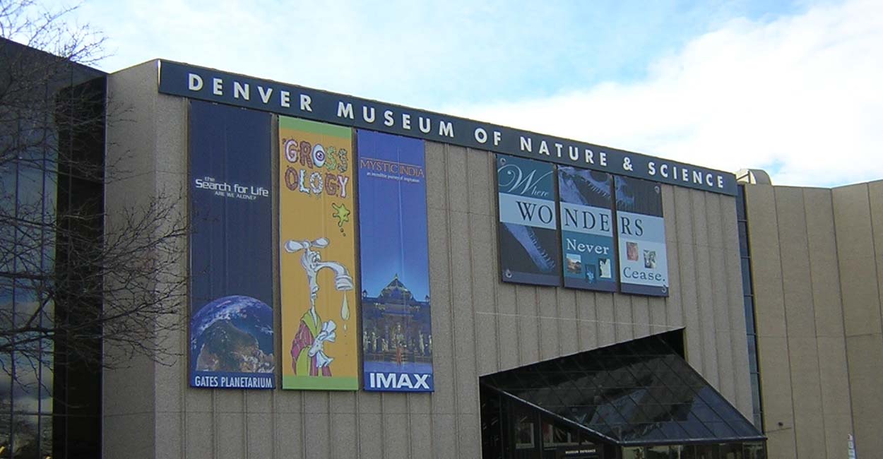 Denver museum of nature and science public library
