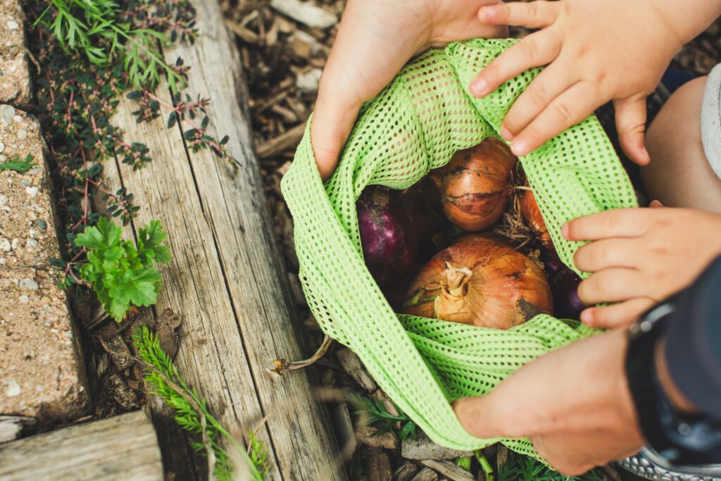 Onions in a reusable mesh bag