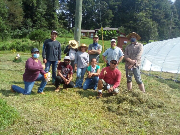 Hispanic member-owners of Tierra Fertil Coop standing in a field