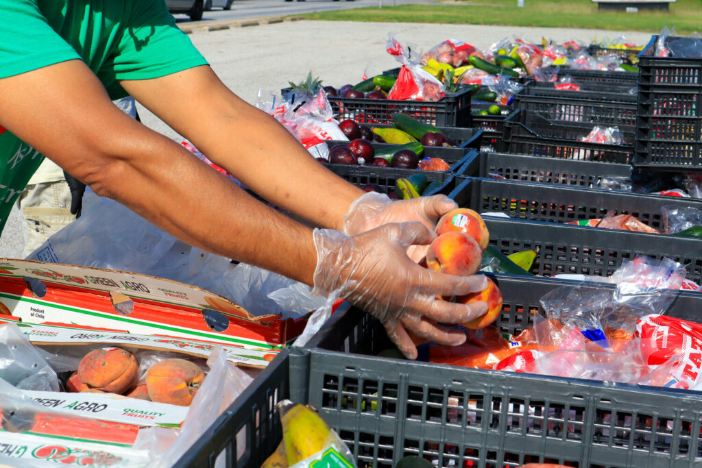 A volunteer with 4DWN, a non-profit, prepares produce to be distributed. Credit: 4DWN