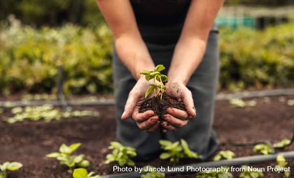 Woman's hands holding a young plant growing in soil by Jacob Lund Photography from <a href="https://thenounproject.com/photo/womans-hands-holding-a-young-plant-growing-in-soil-bYpXD4/" target="_blank" title="Woman's hands holding a young plant growing in soil Photo">Noun Project</a> (CC BY-NC-ND 2.0)