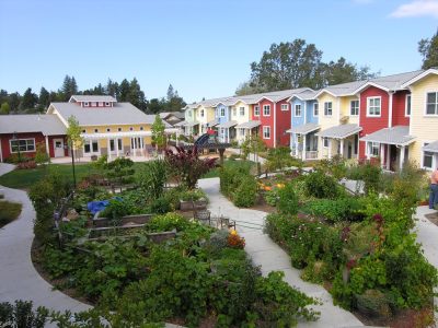 Picture of homes in a co-housing community